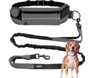 Edipets, Joggingleine für Hunde, freihändig, Laufen, Wandern, Gurtband, Anti-Stress, reflektierend